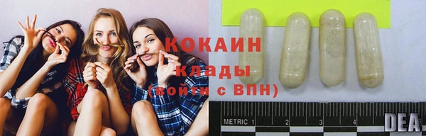 стаф Россошь