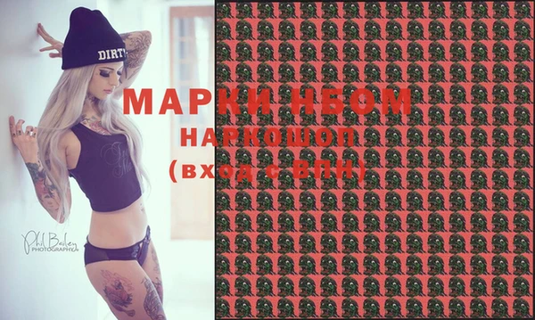 стаф Россошь