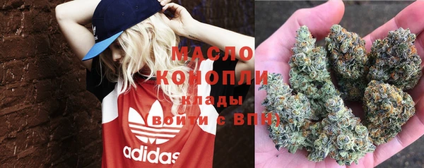 стаф Россошь