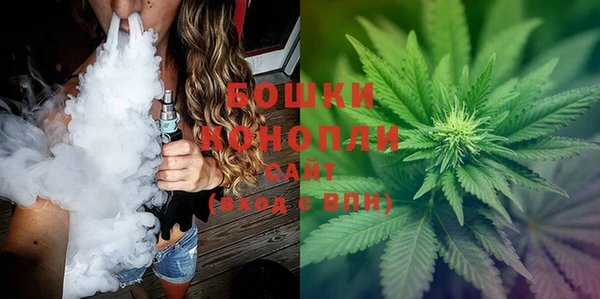 стаф Россошь