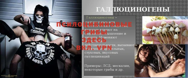 стаф Россошь